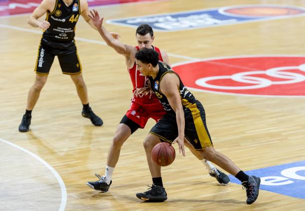 塔图姆延续 塔图姆延续